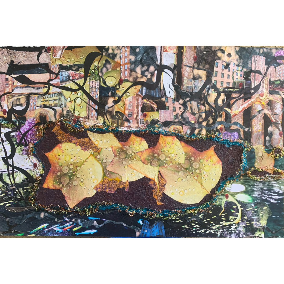 collage of drawing and photographs colored architecture layering leaves water droplets reflections collage