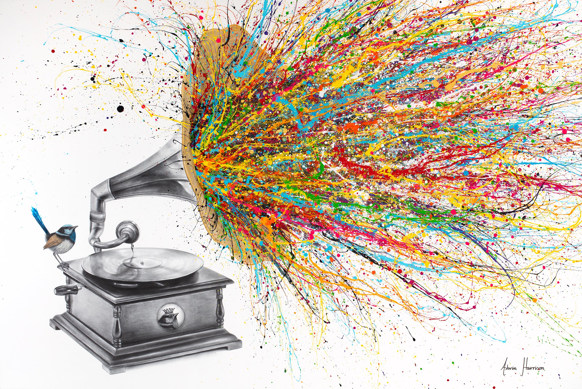 Gramophone with bird paint splatter out of speaker expressionism multicolor black and white realism on white background