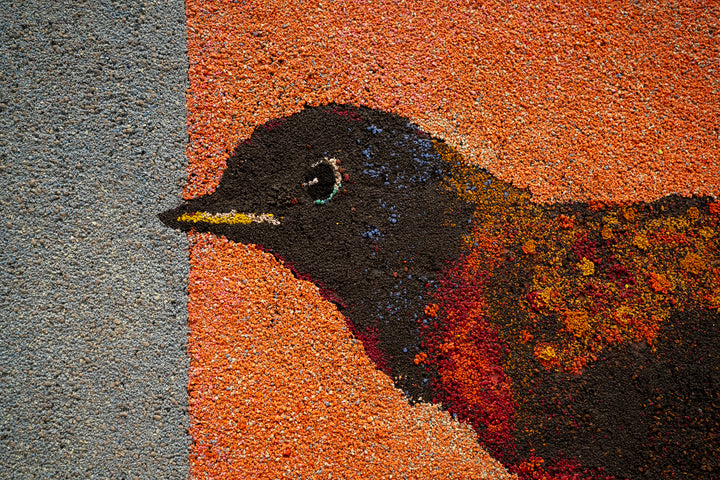 Avian Rheostat, 2023