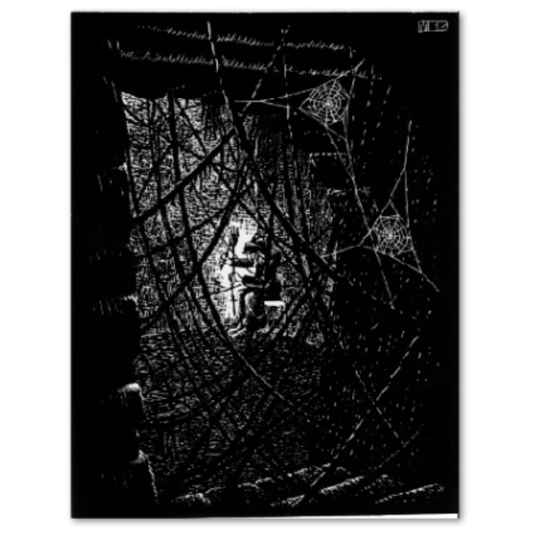 Cobwebs 