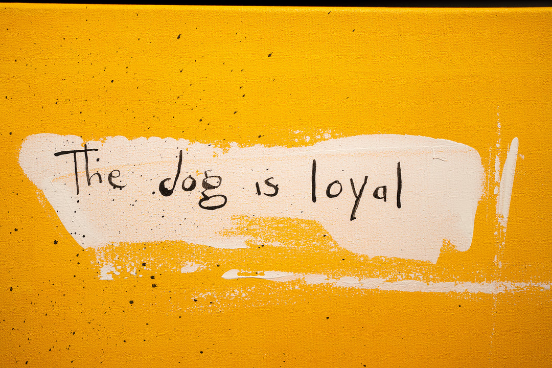 The Dog is Loyal