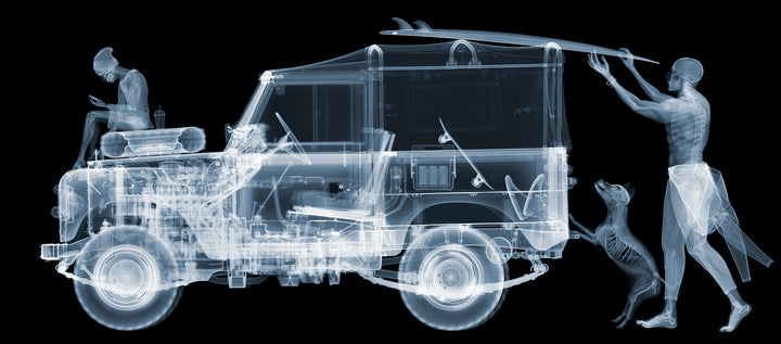 x-ray skeleton car mechanical dog surfboard skateboard on black background
