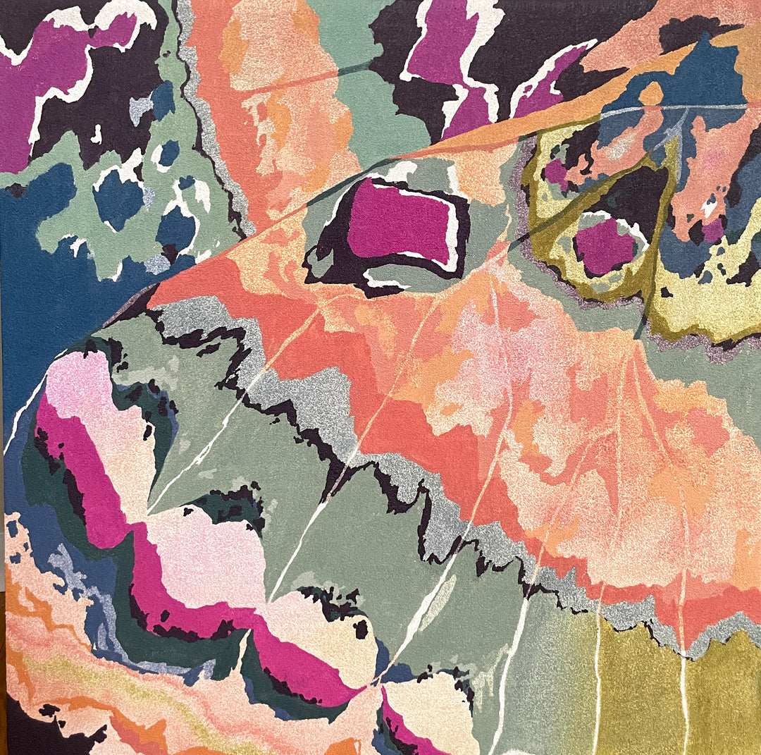 close up abstract section butterfly wing in pinks blues and greens 