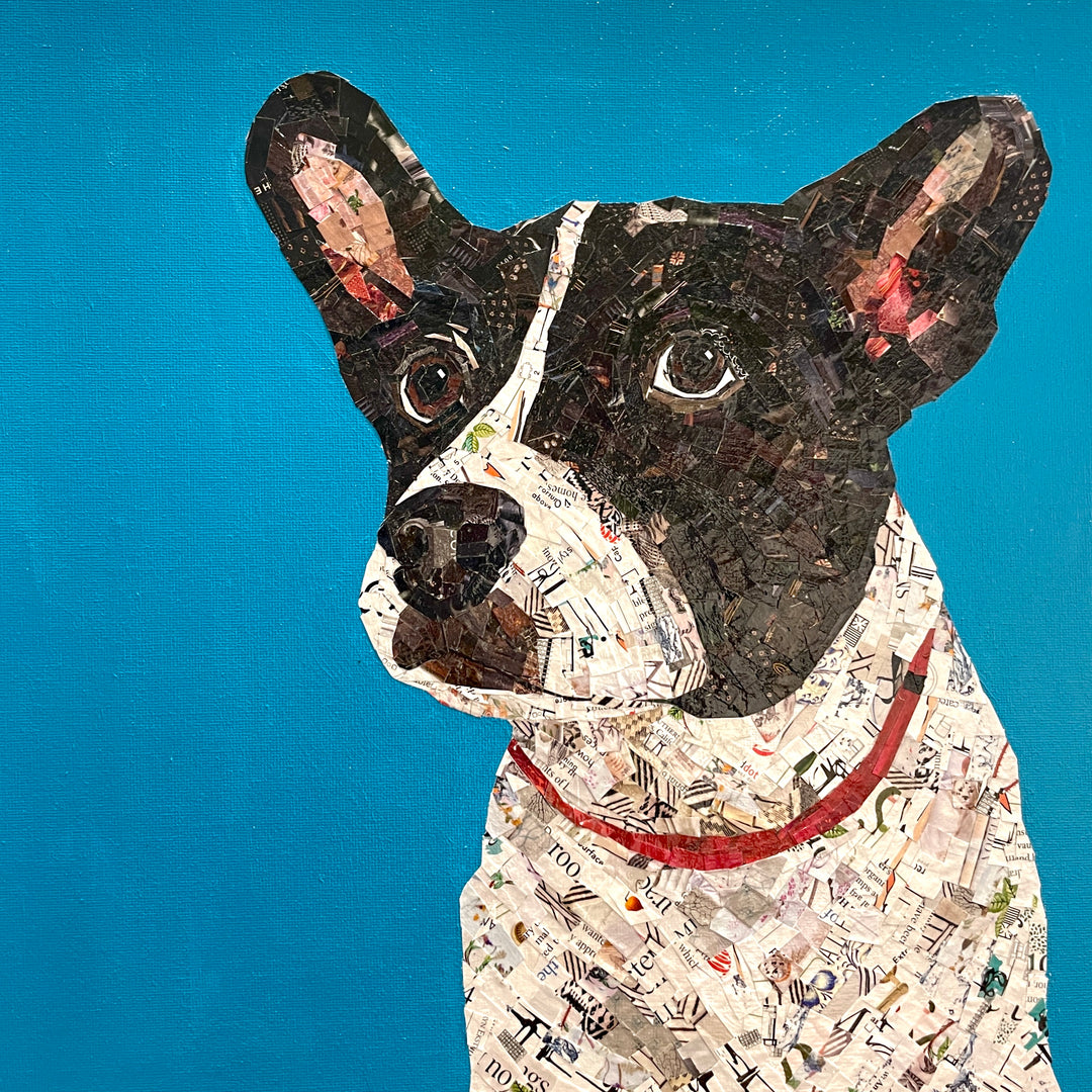 small black and white dog with red collar looking upwards and to the left, made of cut paper magazine collage on blue background
