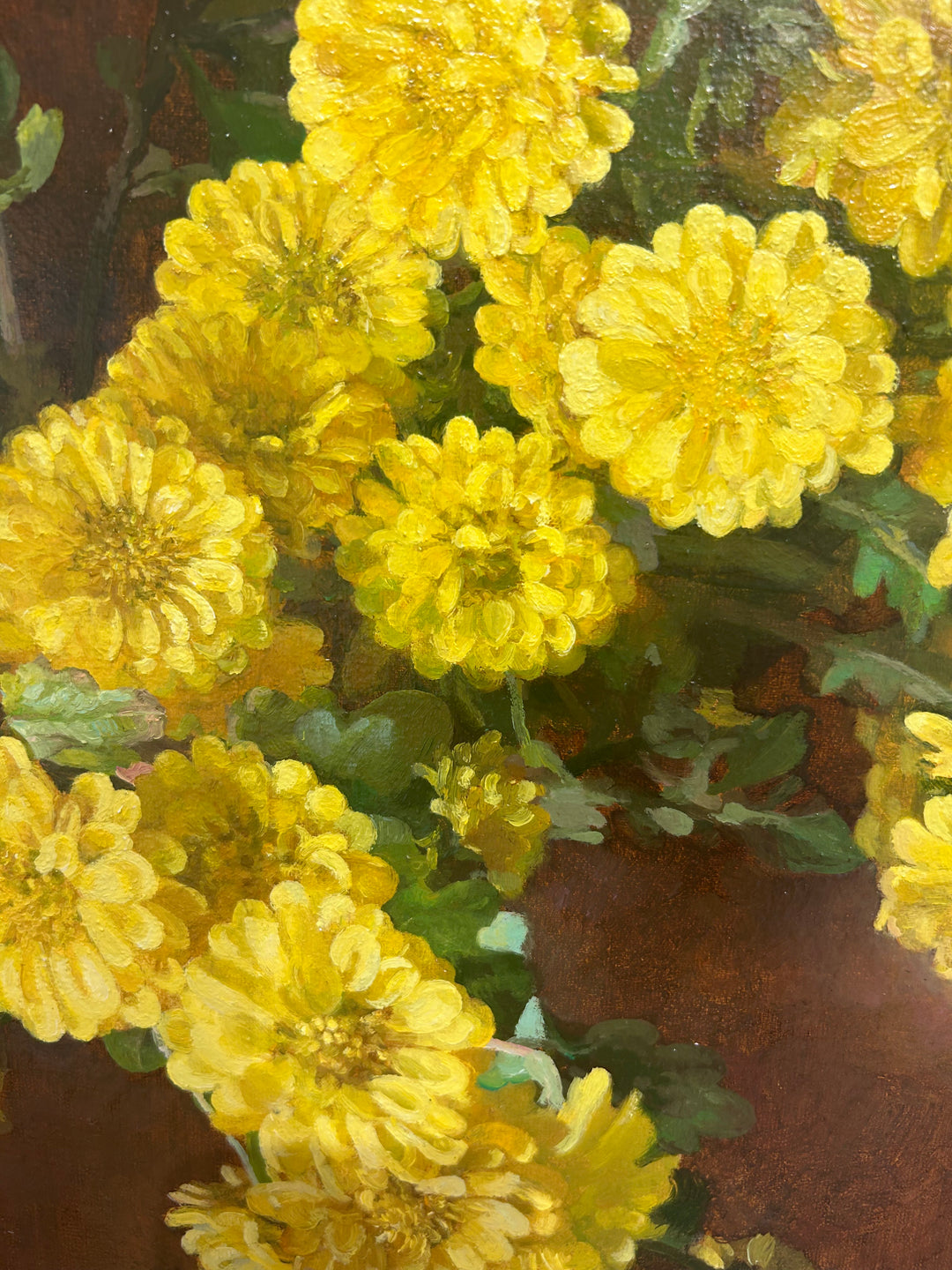 Yellow Chrysanthemums