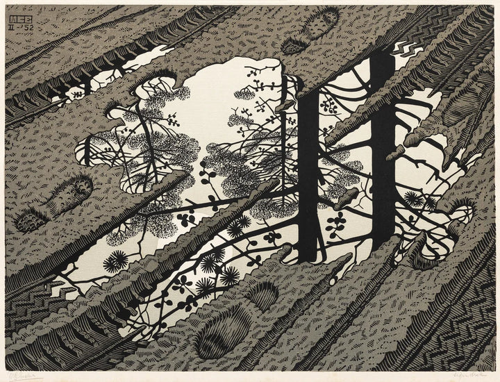 Puddle 