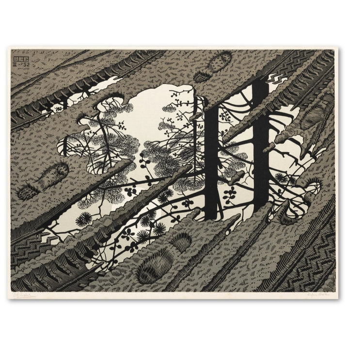 Puddle 