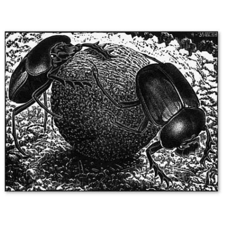 Scarabs 