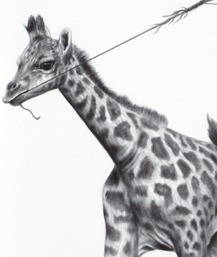 Giraffe Universe