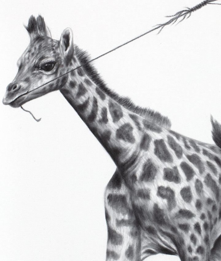 Giraffe Universe