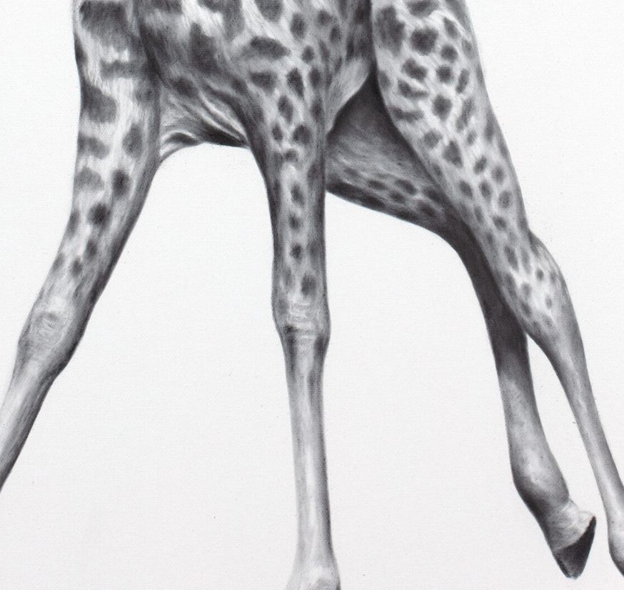 Giraffe Universe