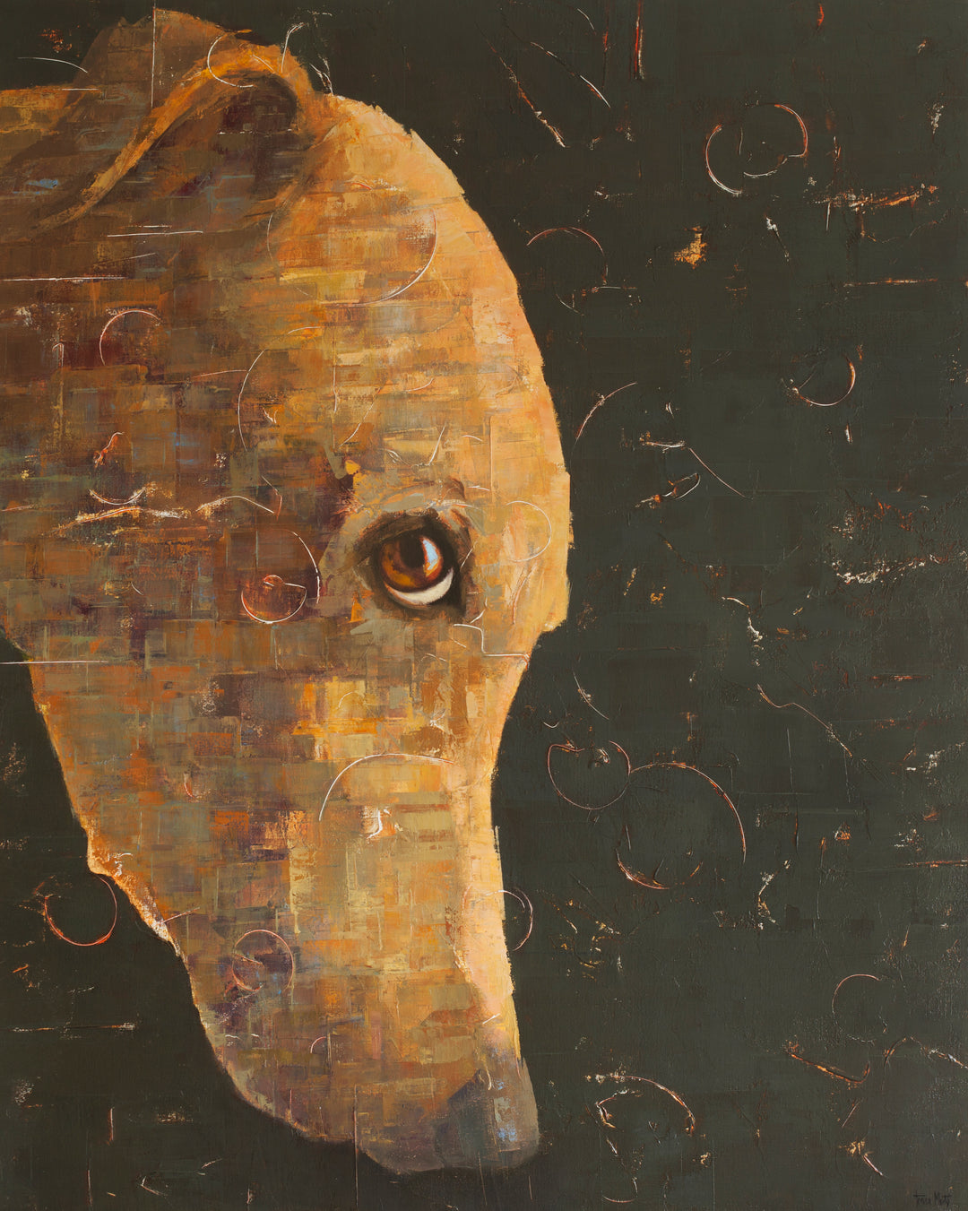 Shy Dog, 32 x 40" oil and acrylic painting on linen by Tomasa Martin. Painting of a golden dog looking at the viewer, on a charcoal gray background.