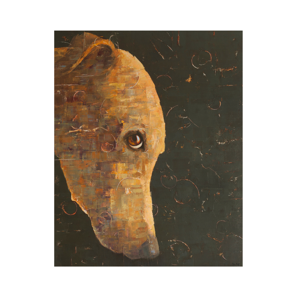 Shy Dog, 32 x 40" oil and acrylic painting on linen by Tomasa Martin. Painting of a golden dog looking at the viewer, on a charcoal gray background.