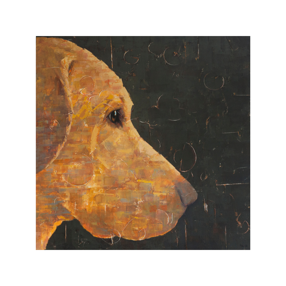 Waiting II, artwork by Tomasa Martín sized 40" x 40". Oil and acrylic on linen, painting  of a golden retriever seemingly waiting for their owner to come home.