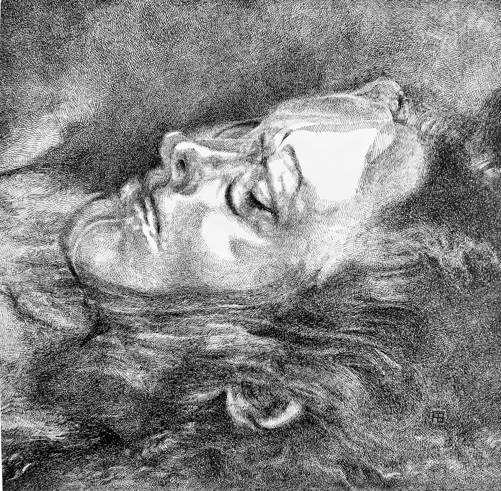 Ophelia, artwork by Florent Blache. Ink on paper. 14 by 14 inches.